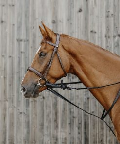 Enrênement Norton Pro Howlett havane cheval