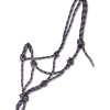 LICOL ETHOLOGIQUE