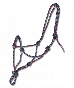 LICOL ETHOLOGIQUE
