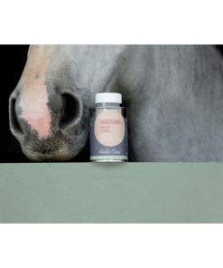 Huile Alodis Care - Matériel pour chevaux à Marly