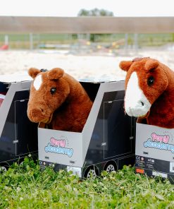 Mini poney Poney Academy