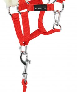 Alternative view of Pony Academy - mini longe + licol