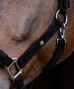 Alternative view of Licol St. Gallen noir