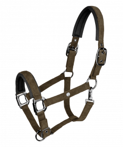 Alternative view of Licol St. Gallen kaki