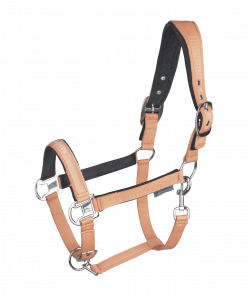 Alternative view of Licol Atheltic pêche