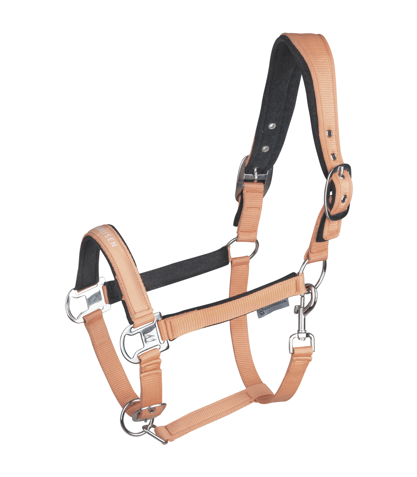 Licol Atheltic pêche – Image 2