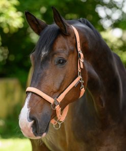 Licol Atheltic pêche