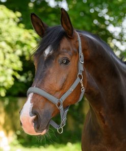 Alternative view of Licol Waldhausen Trinidad gris chrome