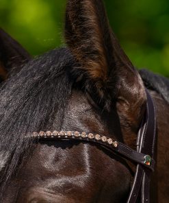 Frontal Waldhausen X-Line Glam, marron/pêche