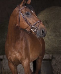 Bridon NORTON PRO - Combinée