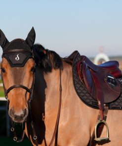 Alternative view of Bonnet Le Sabotier noir